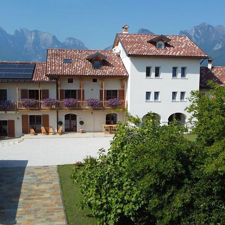 Corte Varola B&B Zia Marisa Belluno Kültér fotó